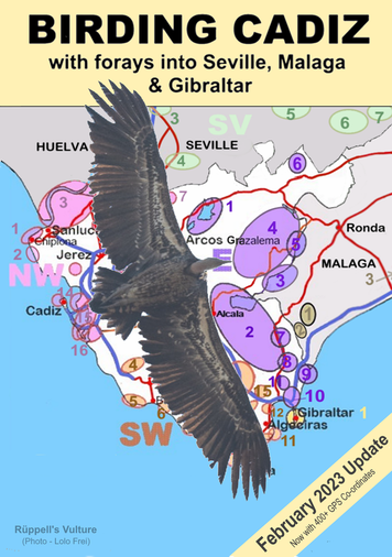 Birding Cadiz Province